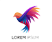Design Vectoriel