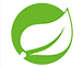 java spring